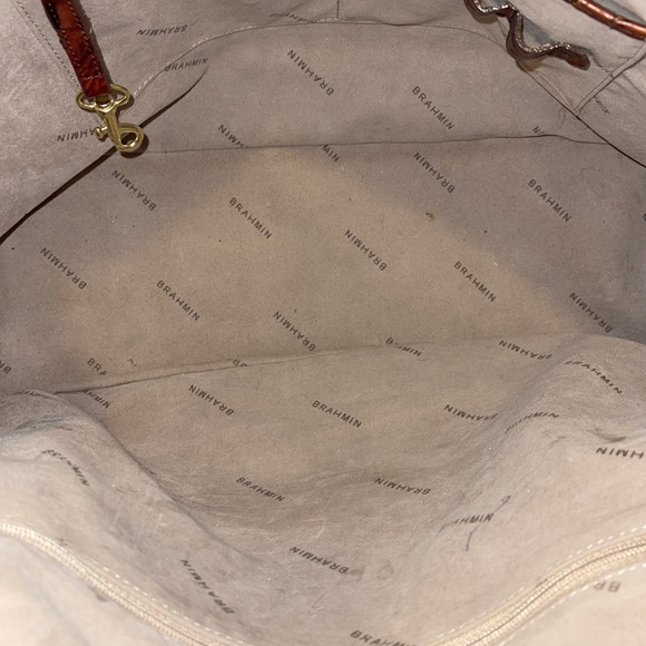 Brahmin - Picture 9 of 9